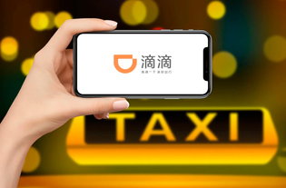 滴滴官方版/最新版/安卓版/车主版/司机版/国际版/无广告版合集下载