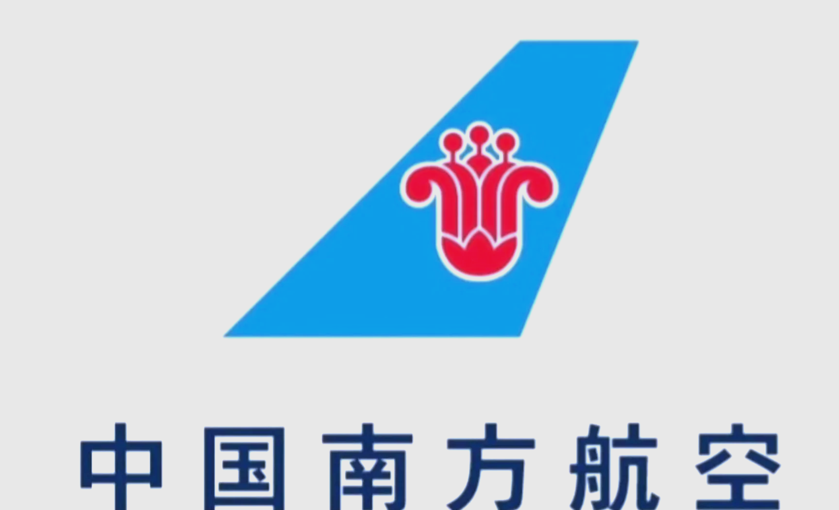南方航空官方版/最新版/安卓版/纯净版/无广告版版本合集下载
