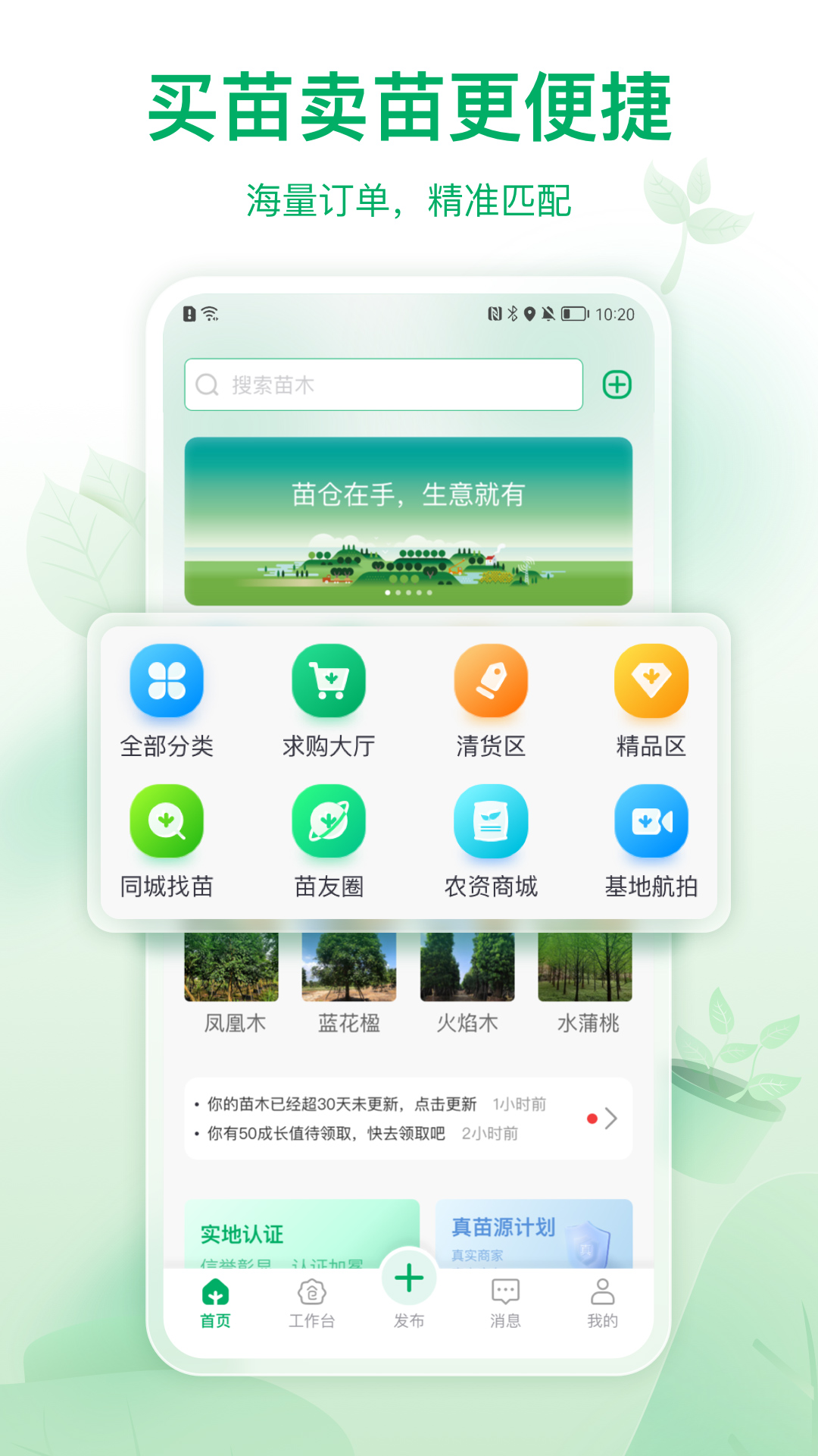苗仓 截图 1