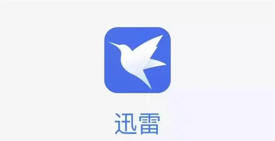 迅雷网盘版本合集/官方版/最新版/安卓版/会员版/无广告版下载